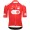 Heren Fietskleding Q36.5 Tour de Suisse 2024 Gregarius Pro trui - Klimmer