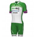 Green Project-Bardiani Csf-Faizane' 2023 set (jersey lange rits+broek)-ALE professionele wielerploeg