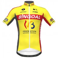 2020 Bingoal Wallonie Bruxelle Geel Wielershirt Korte Mouw 931OAJM 2020 Bingoal Wallonie Bruxelle Geel Wielershirt Korte Mouw 931OAJM