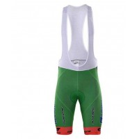 2017 Bardiani Csf Wielershirt Korte Fietsbroeken Bib