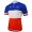 2015 Francaise Des Jeux Wielershirt Met Korte Mouwen