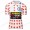 Jumbo Visma 2020 Tour De France Fietsshirts Korte Mouws YMGHO