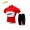 2016 BAT FOX Fietskleding Wielershirt Korte+Korte Fietsbroeken Rood