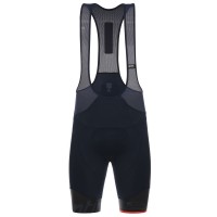 Santini Sleek 99 Grijs Korte Fietsbroeken Bib