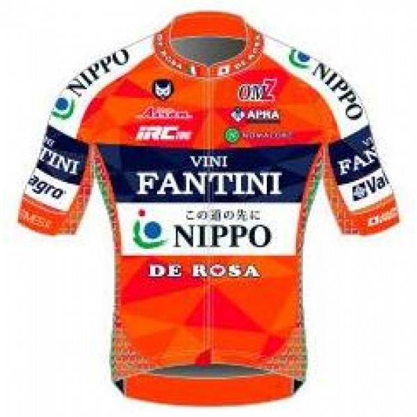 2017 Vini Fantini Nippo Wielershirt Met Korte Mouwen